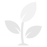 SUSTAINABLE BEAUTY
